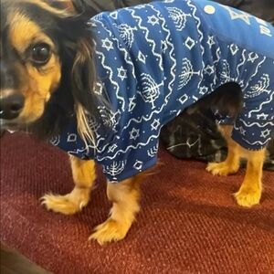 Small Dog/Cat Chanukah Onesie! A holiday must have. New! Never used.